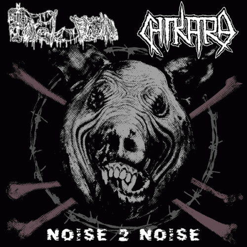 Chikara : Noise 2 Noise